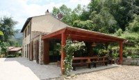/album/i-fiori-di-casa-acquarella/a5-img-2439-r-jpg/